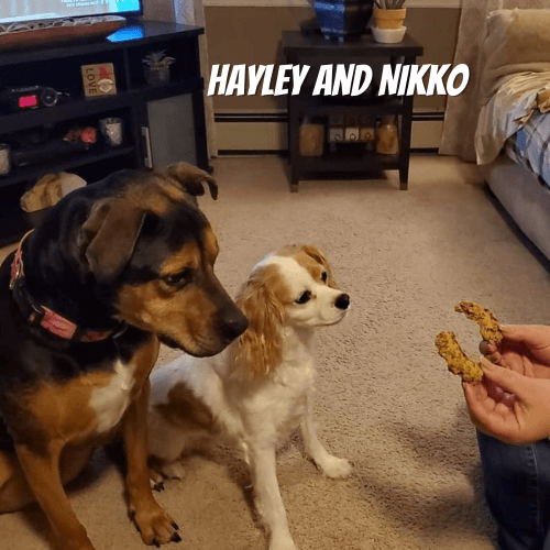 Hayley & Nikko